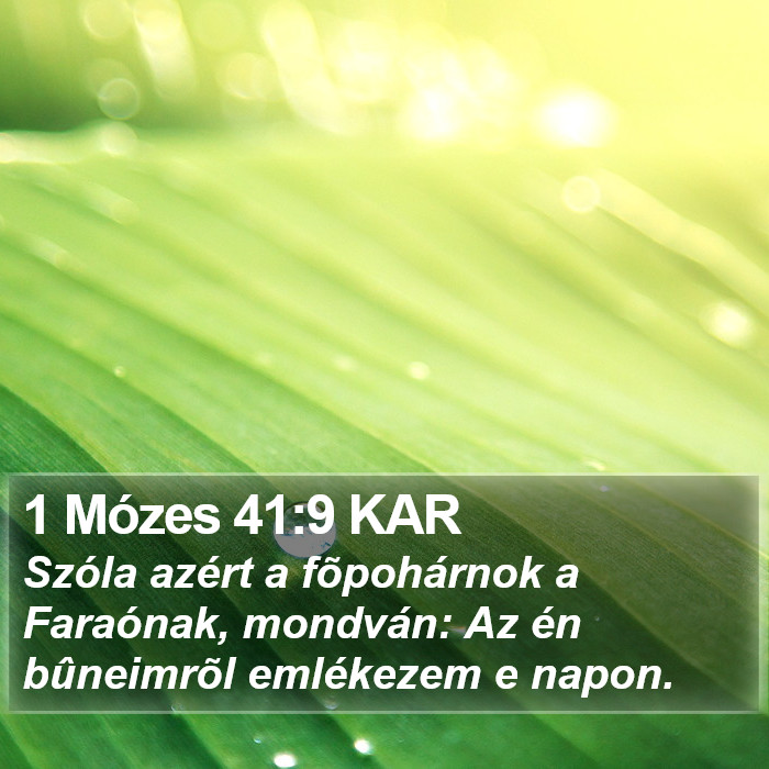 1 Mózes 41:9 KAR Bible Study