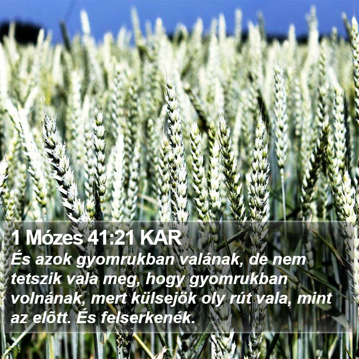 1 Mózes 41:21 KAR Bible Study