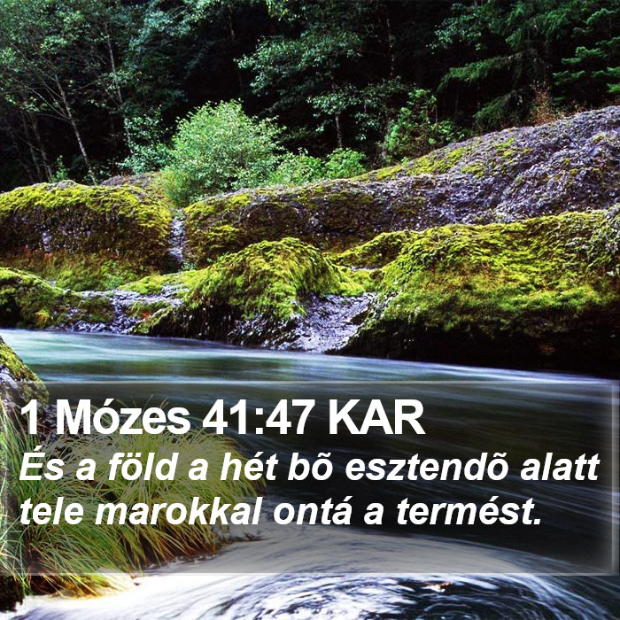 1 Mózes 41:47 KAR Bible Study