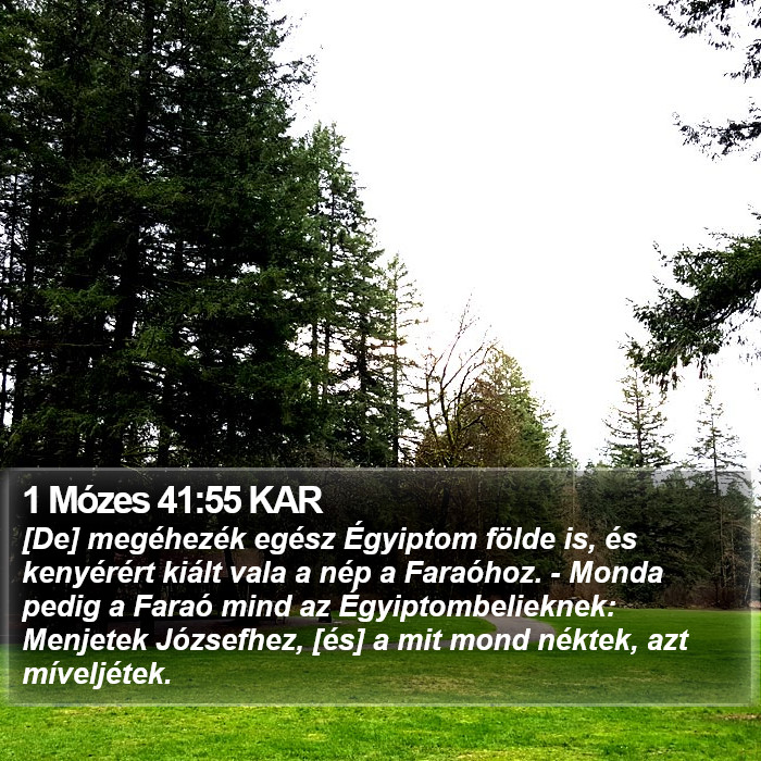 1 Mózes 41:55 KAR Bible Study