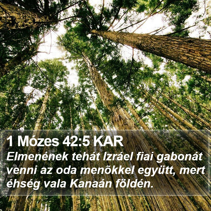 1 Mózes 42:5 KAR Bible Study