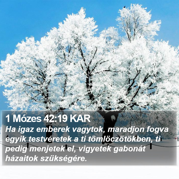 1 Mózes 42:19 KAR Bible Study