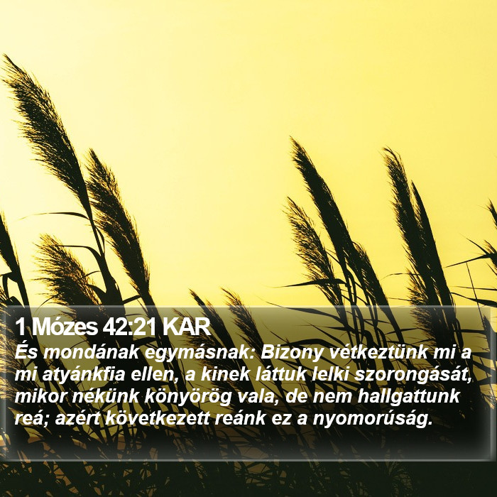 1 Mózes 42:21 KAR Bible Study