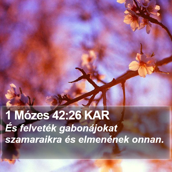 1 Mózes 42:26 KAR Bible Study