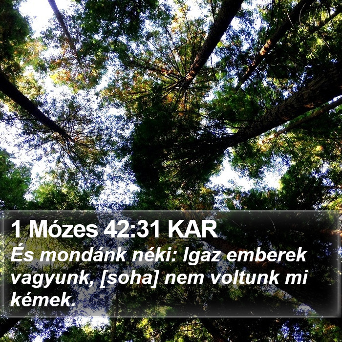 1 Mózes 42:31 KAR Bible Study