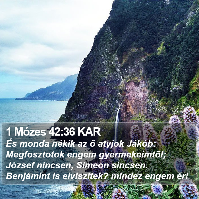 1 Mózes 42:36 KAR Bible Study