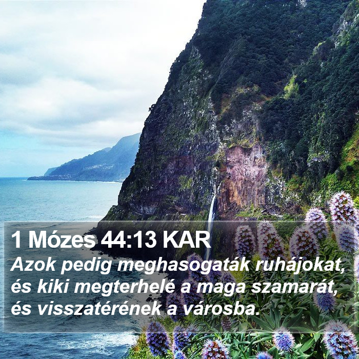 1 Mózes 44:13 KAR Bible Study