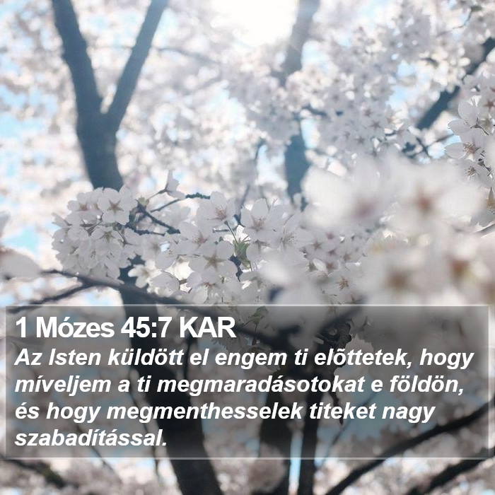 1 Mózes 45:7 KAR Bible Study