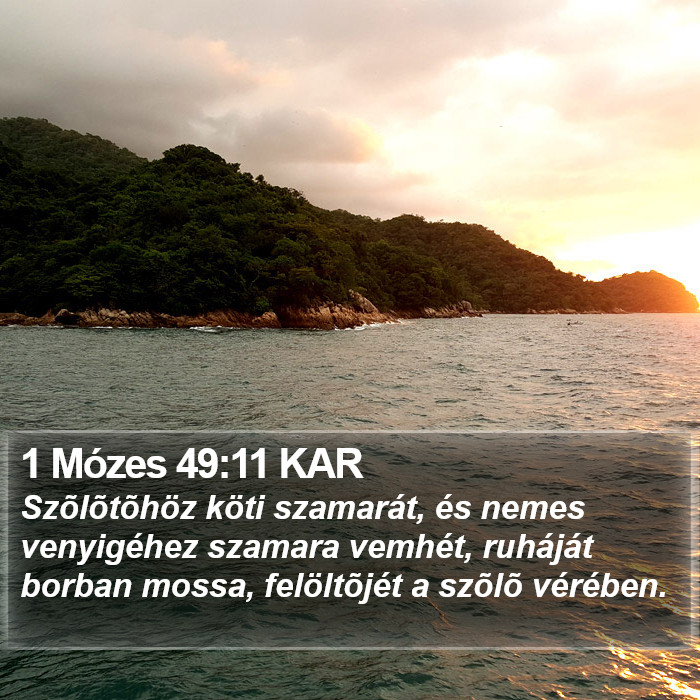 1 Mózes 49:11 KAR Bible Study