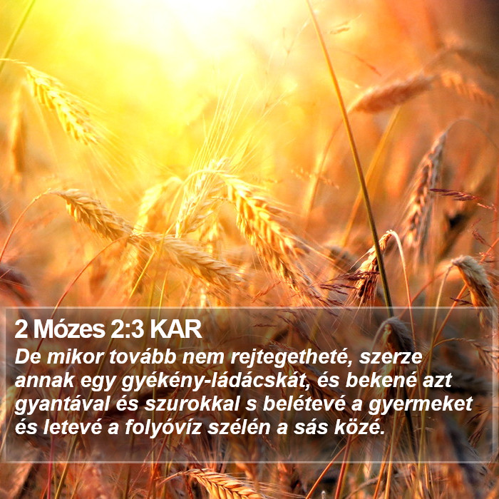 2 Mózes 2:3 KAR Bible Study