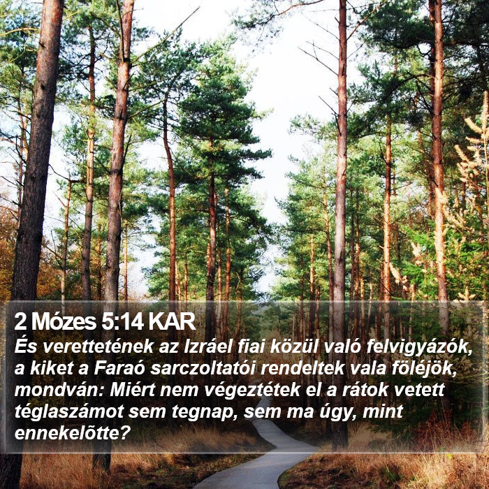 2 Mózes 5:14 KAR Bible Study