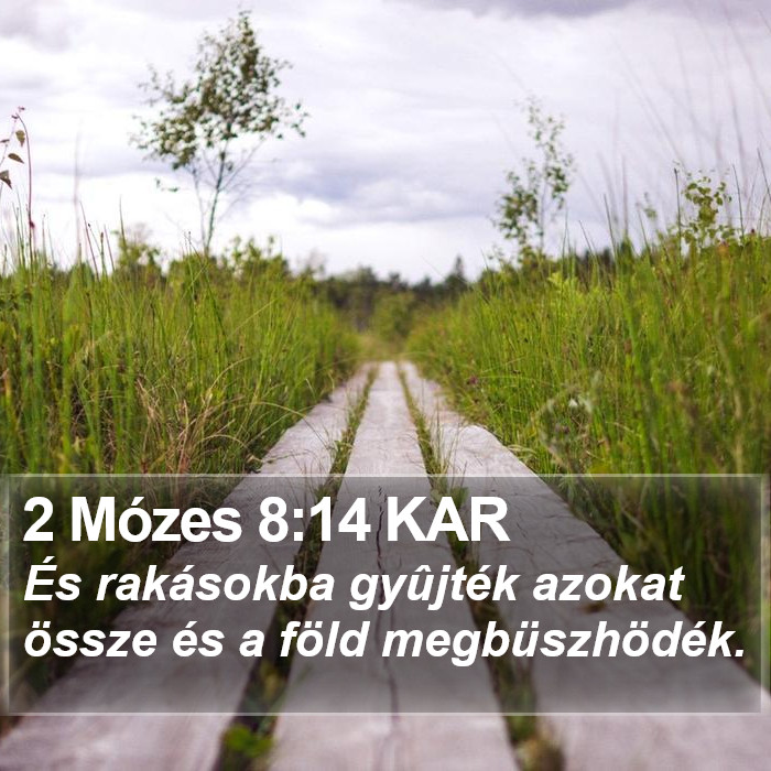 2 Mózes 8:14 KAR Bible Study