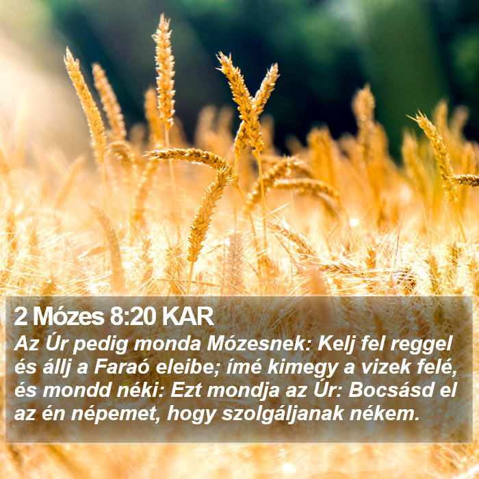 2 Mózes 8:20 KAR Bible Study