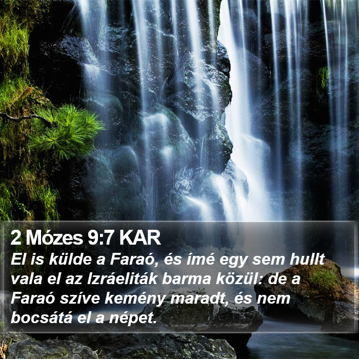 2 Mózes 9:7 KAR Bible Study