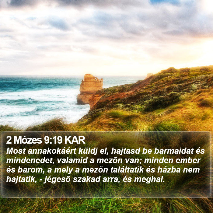 2 Mózes 9:19 KAR Bible Study