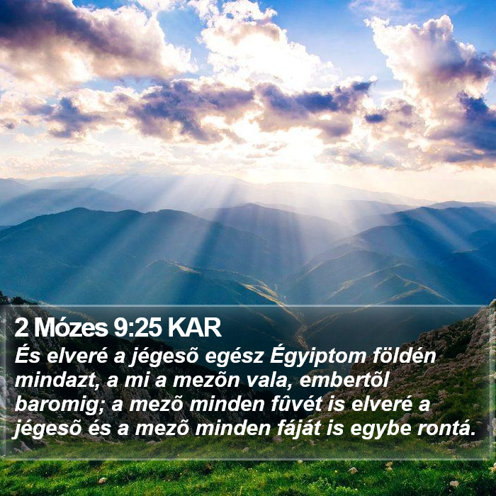 2 Mózes 9:25 KAR Bible Study