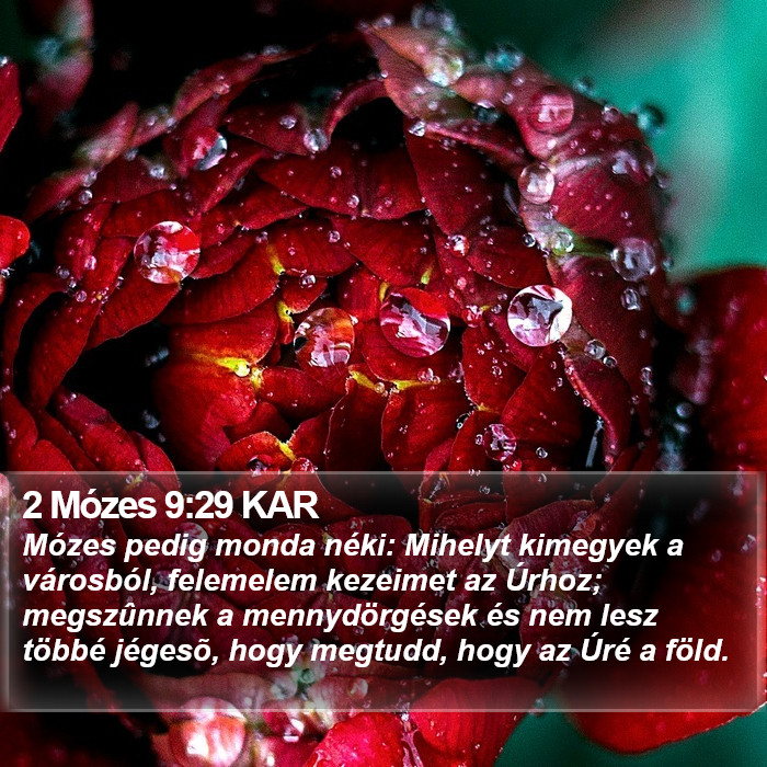 2 Mózes 9:29 KAR Bible Study