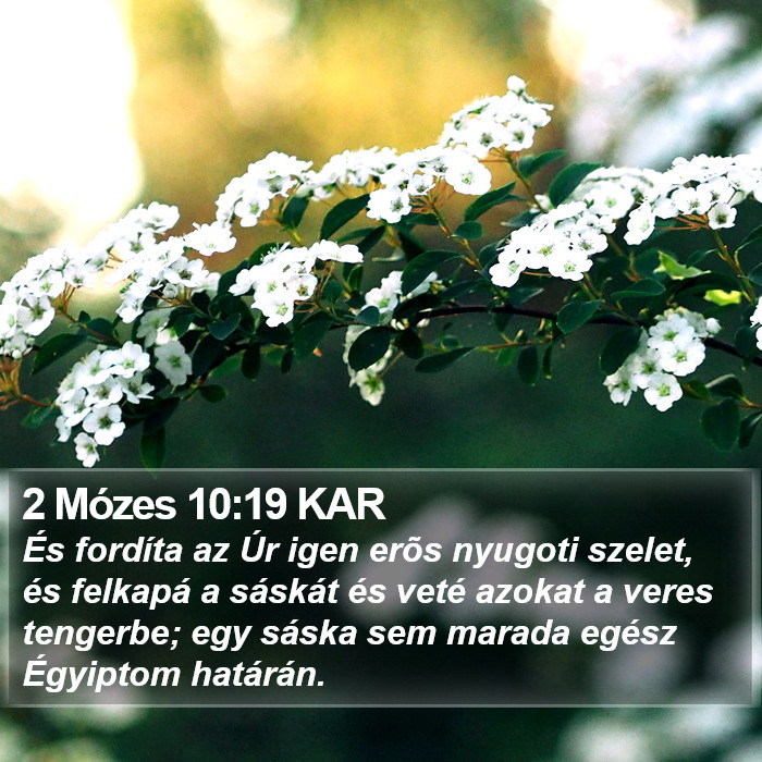 2 Mózes 10:19 KAR Bible Study