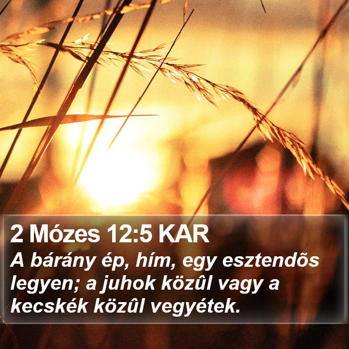 2 Mózes 12:5 KAR Bible Study