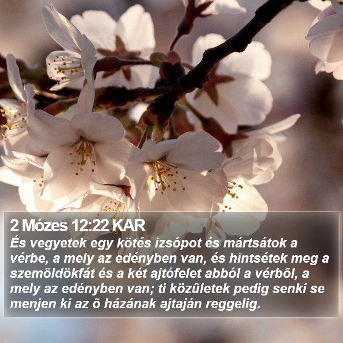 2 Mózes 12:22 KAR Bible Study