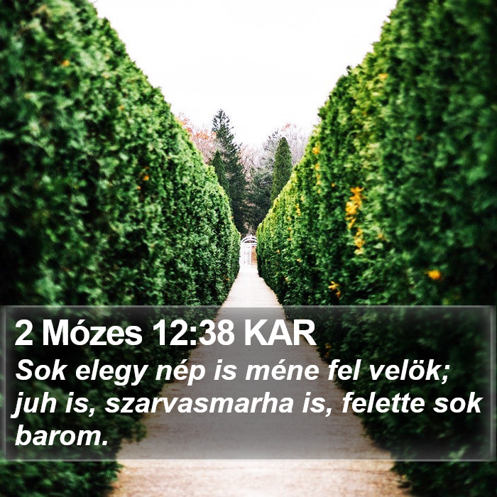 2 Mózes 12:38 KAR Bible Study