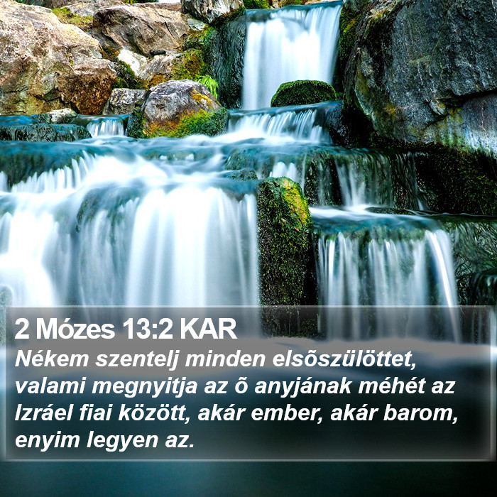 2 Mózes 13:2 KAR Bible Study