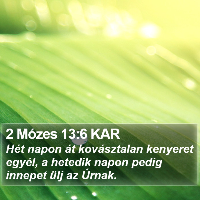 2 Mózes 13:6 KAR Bible Study