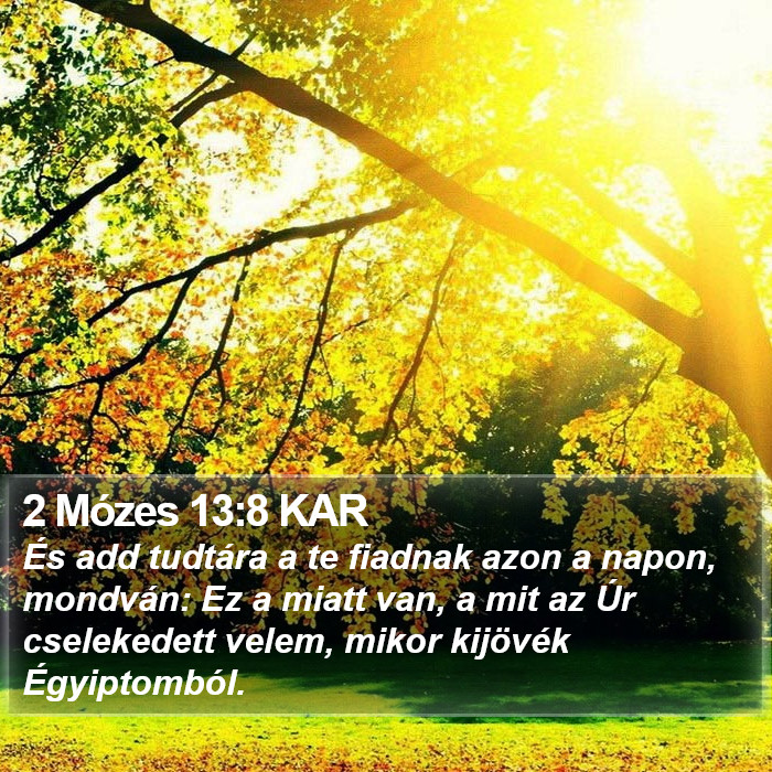 2 Mózes 13:8 KAR Bible Study