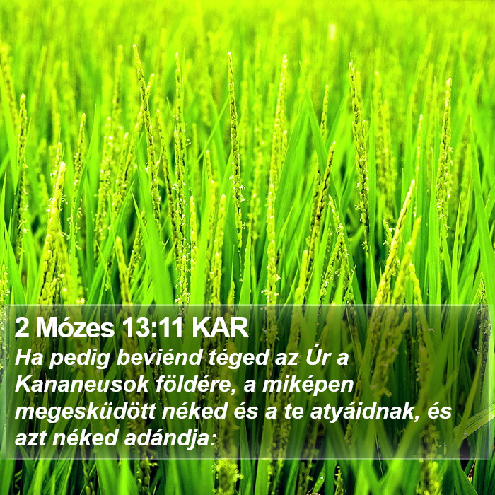 2 Mózes 13:11 KAR Bible Study