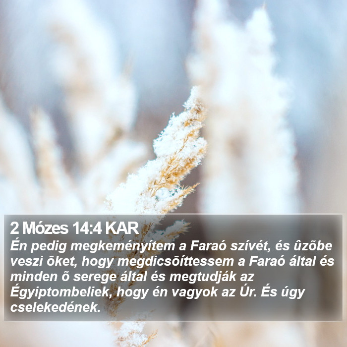 2 Mózes 14:4 KAR Bible Study