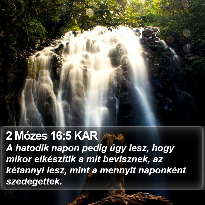 2 Mózes 16:5 KAR Bible Study