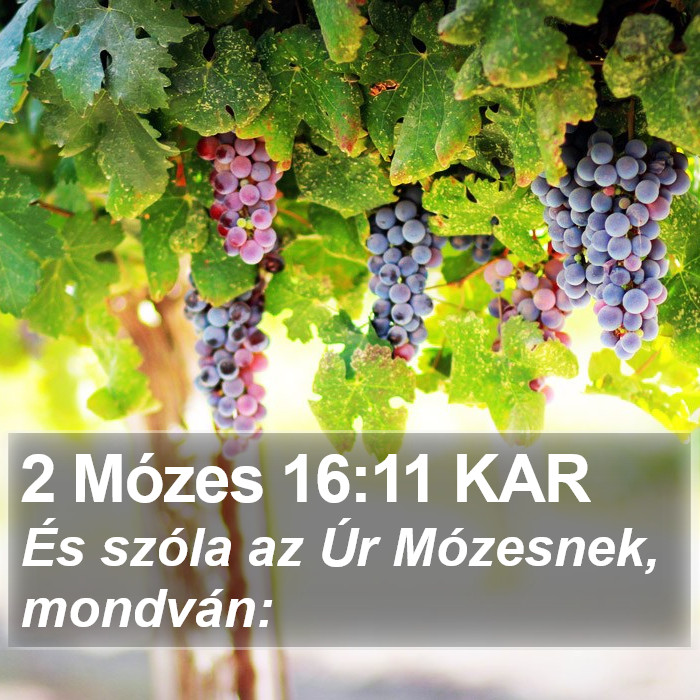 2 Mózes 16:11 KAR Bible Study