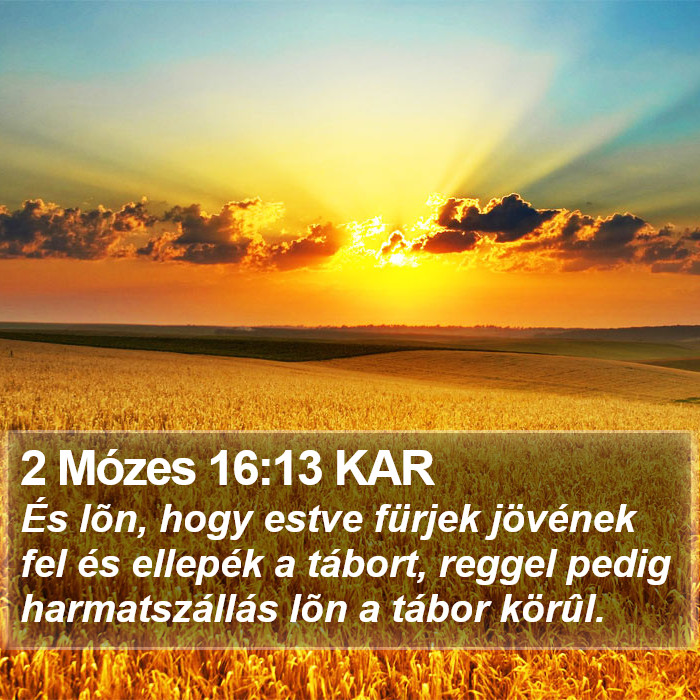 2 Mózes 16:13 KAR Bible Study