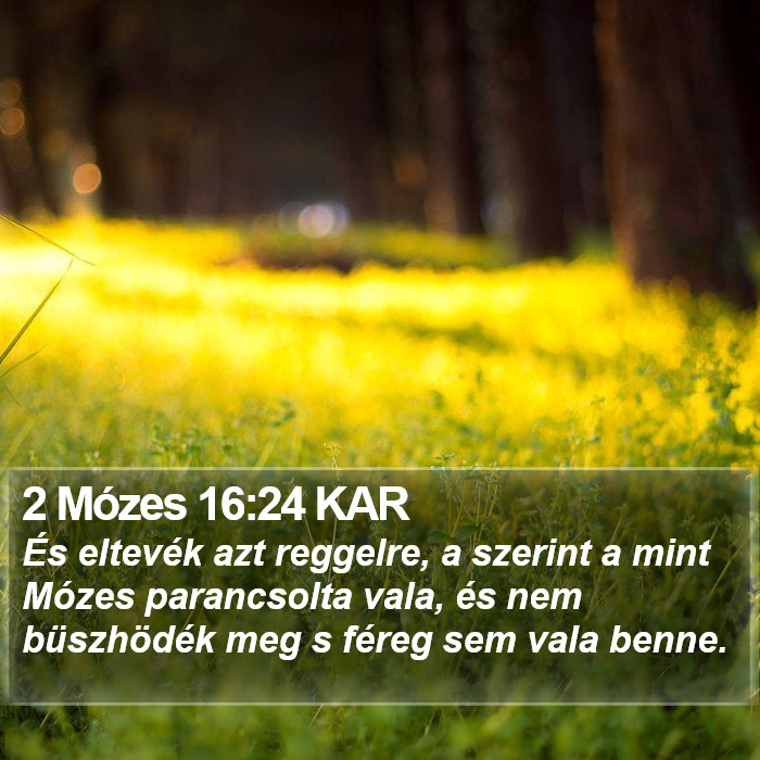 2 Mózes 16:24 KAR Bible Study