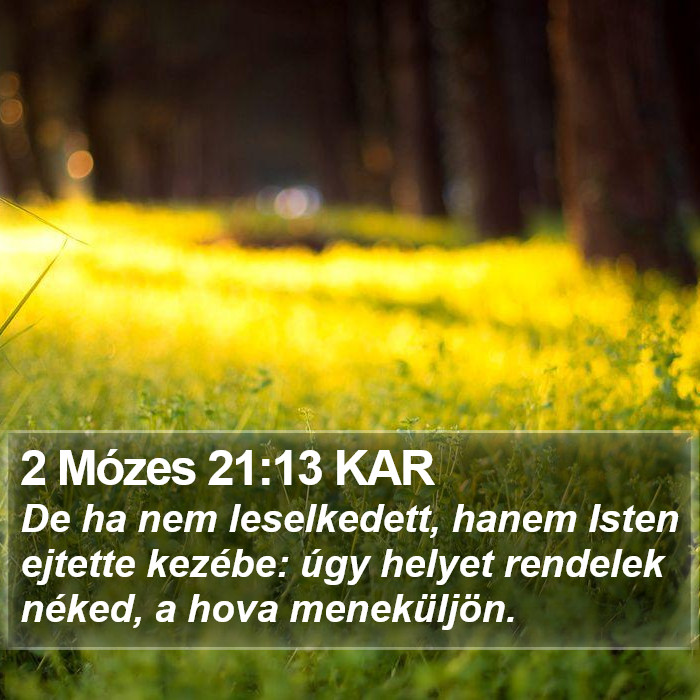 2 Mózes 21:13 KAR Bible Study