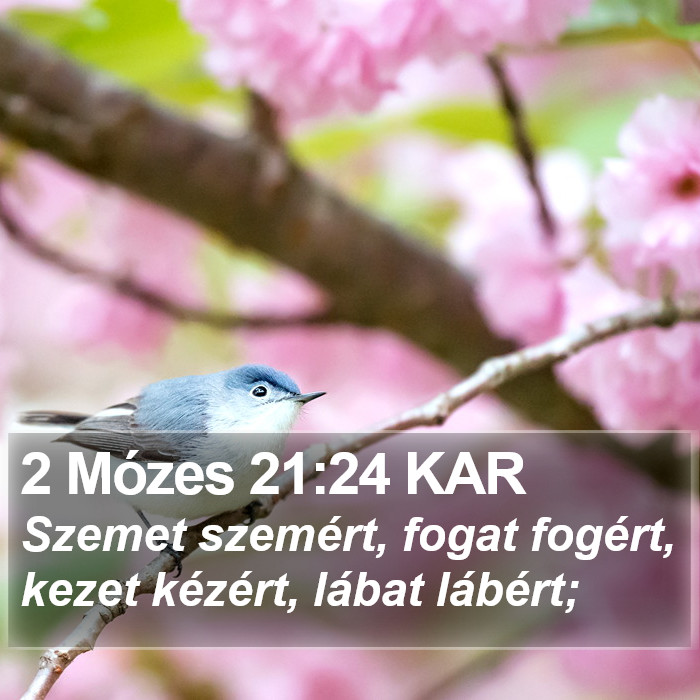 2 Mózes 21:24 KAR Bible Study