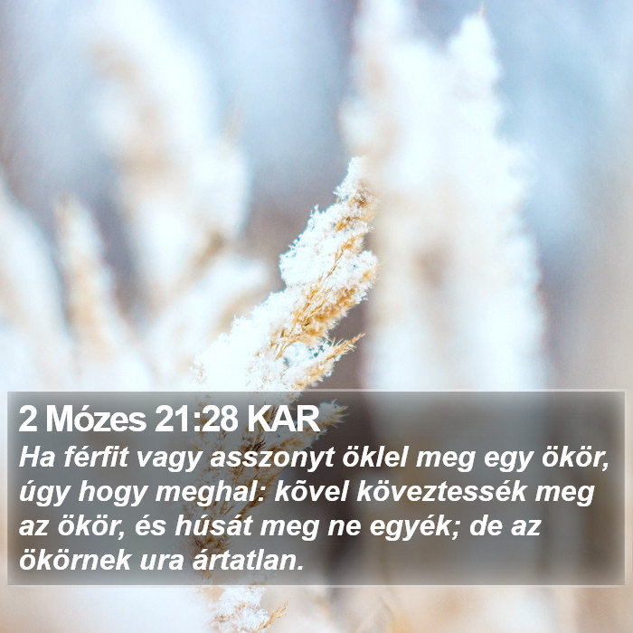 2 Mózes 21:28 KAR Bible Study