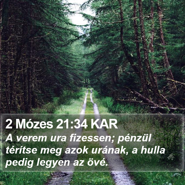 2 Mózes 21:34 KAR Bible Study