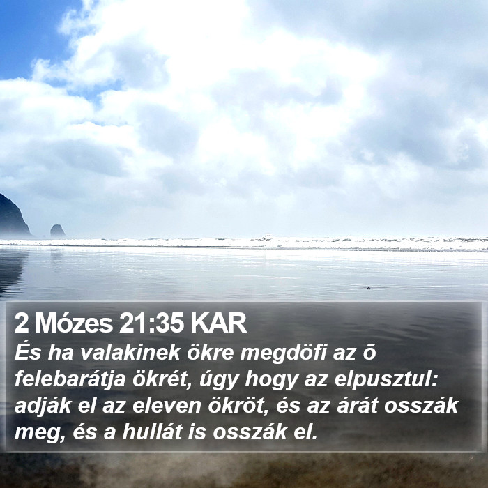 2 Mózes 21:35 KAR Bible Study