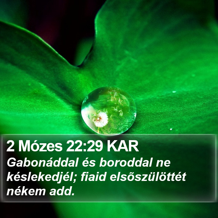 2 Mózes 22:29 KAR Bible Study