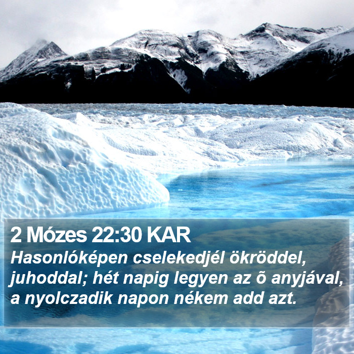 2 Mózes 22:30 KAR Bible Study