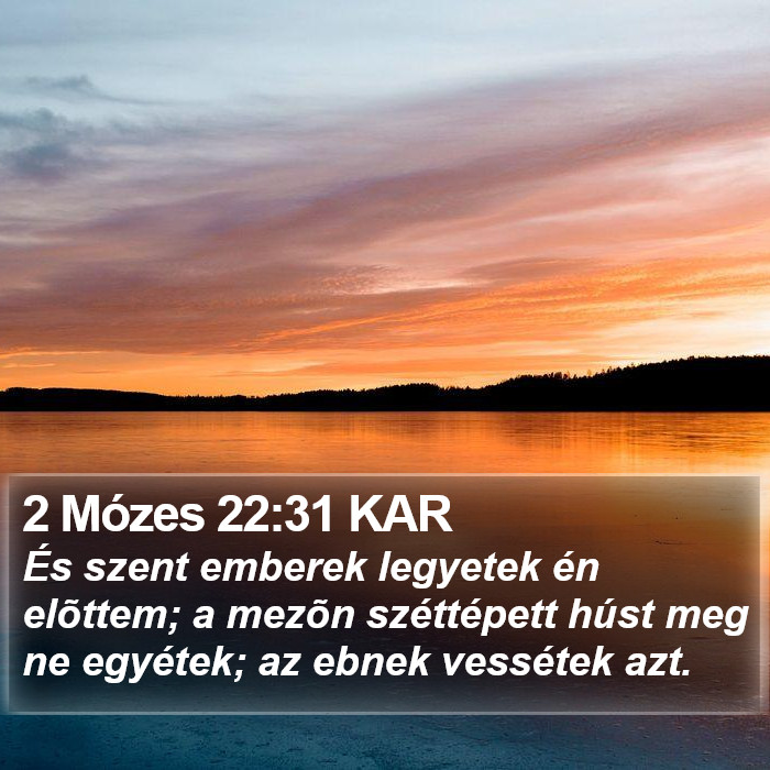 2 Mózes 22:31 KAR Bible Study