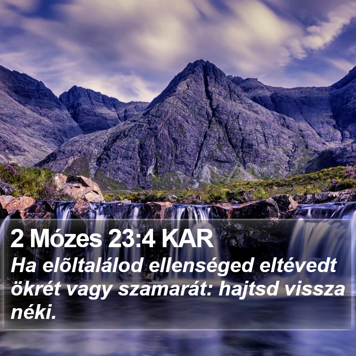 2 Mózes 23:4 KAR Bible Study