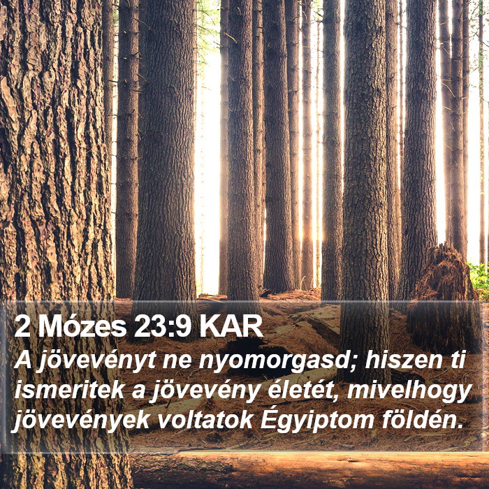 2 Mózes 23:9 KAR Bible Study