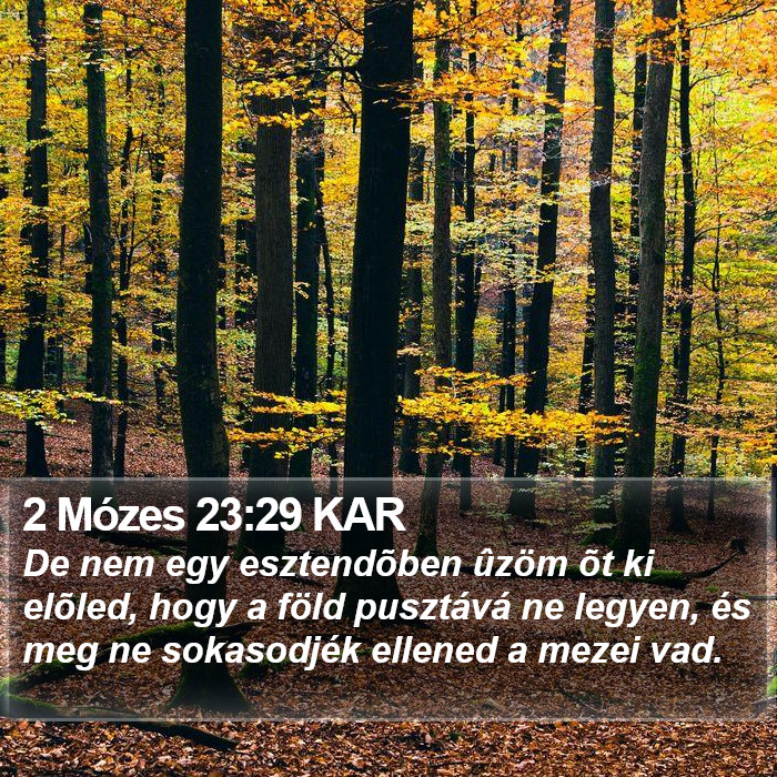 2 Mózes 23:29 KAR Bible Study