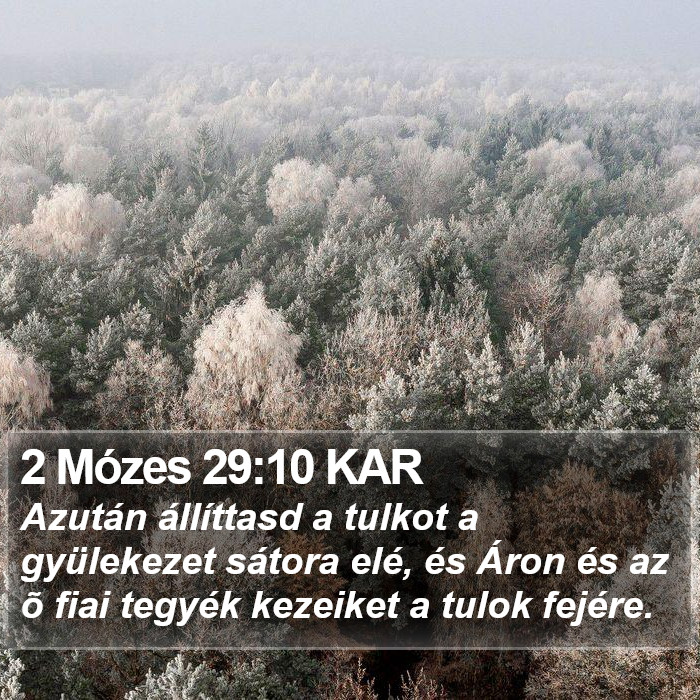 2 Mózes 29:10 KAR Bible Study