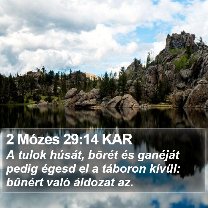 2 Mózes 29:14 KAR Bible Study