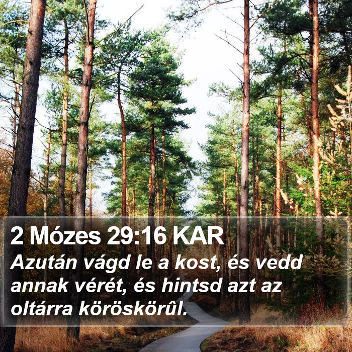 2 Mózes 29:16 KAR Bible Study