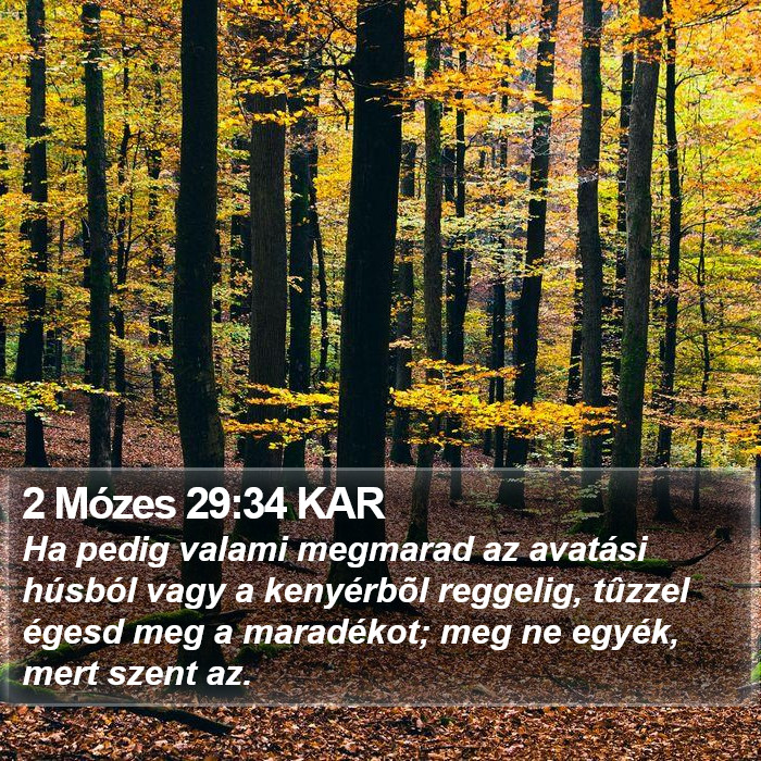 2 Mózes 29:34 KAR Bible Study