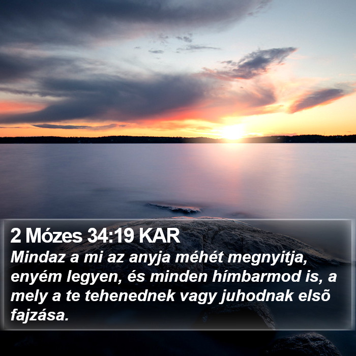 2 Mózes 34:19 KAR Bible Study